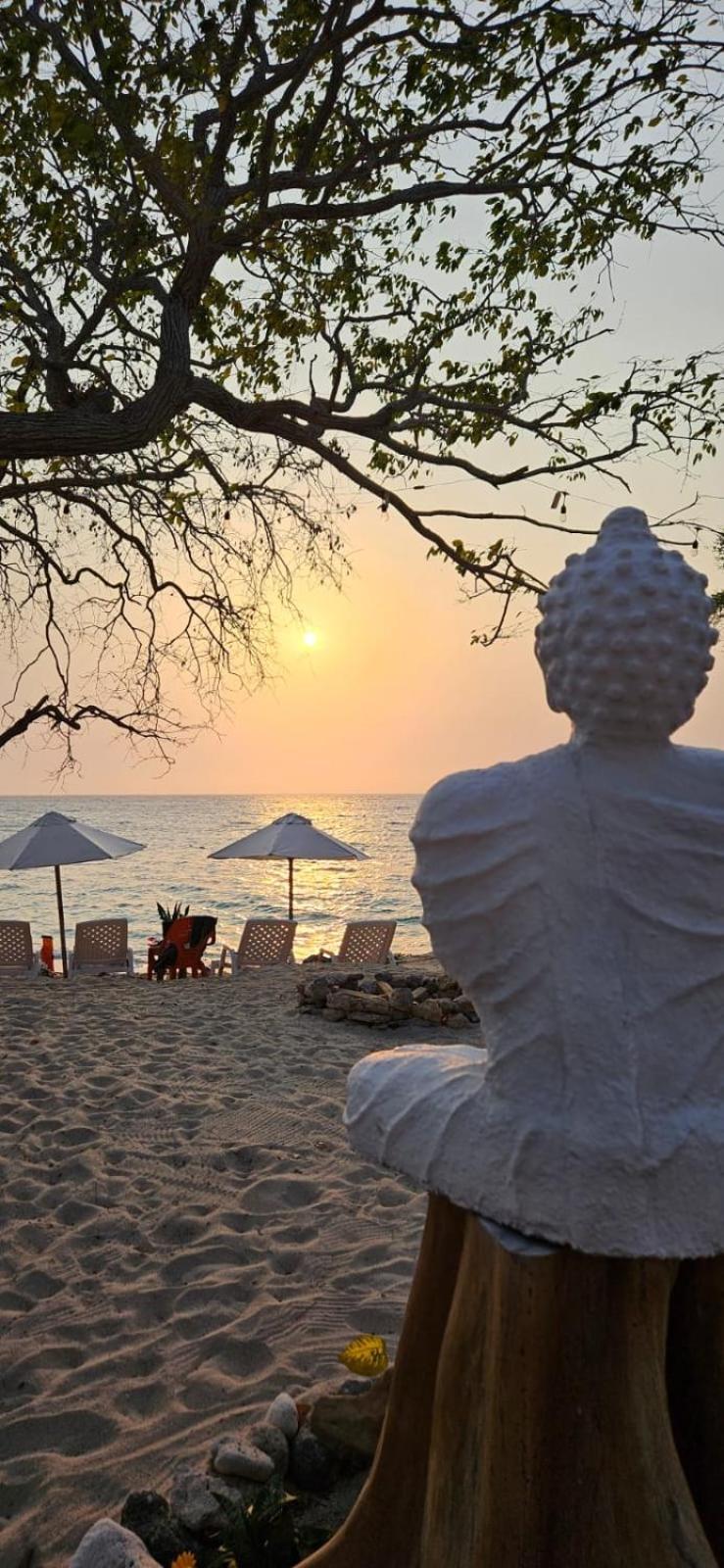 ホテル Buda House Beach プラヤ・ブランカ エクステリア 写真